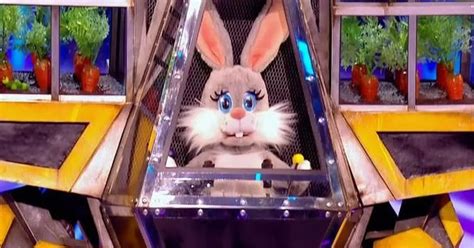 Masked Singer Fans Rumble Robobunny As Famous Boyband Singer Edinburgh Live