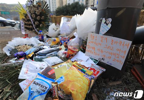 강남 스쿨존 사망사고 음주운전자 1심 징역 7년 네이트 뉴스