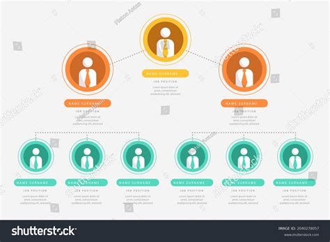 Organizational Chart Infographic Design Template Chart Stock Vector ...