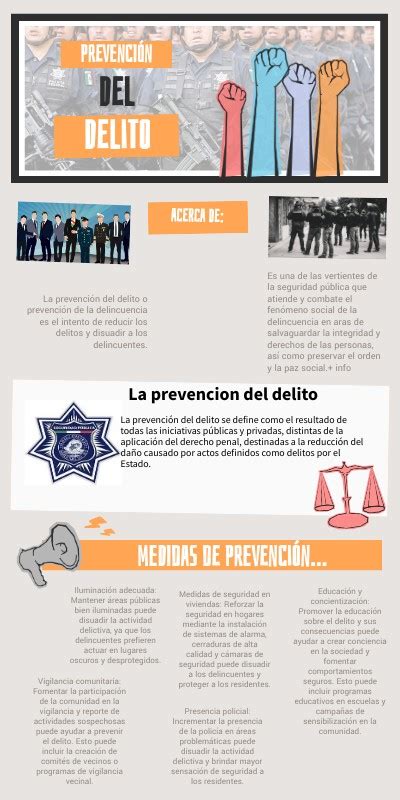 Info PrevenciÓn Del Delito