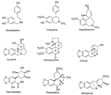 Alkaloid Structure