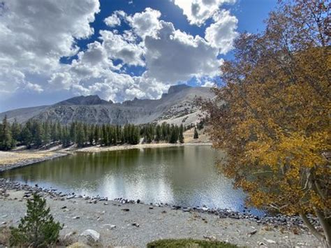 Best 10 Hikes and Trails in Great Basin National Park | AllTrails