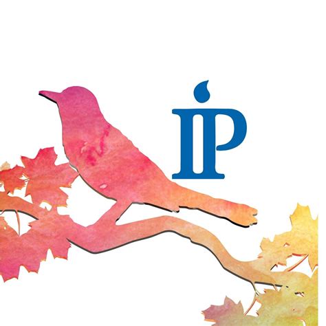 Imperial Program Web Creation - With our effective services, we develop