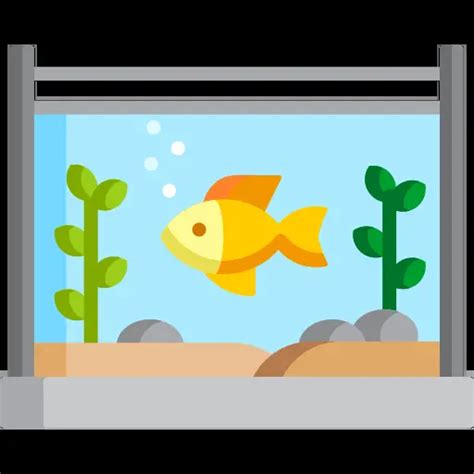 Pourquoi Mon Poisson Est Mort Dans Laquarium Roedorium