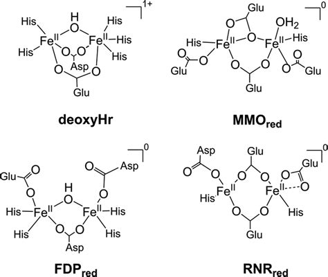 Diferrous Active Site Structures And Charges For Nonheme O N Ligated