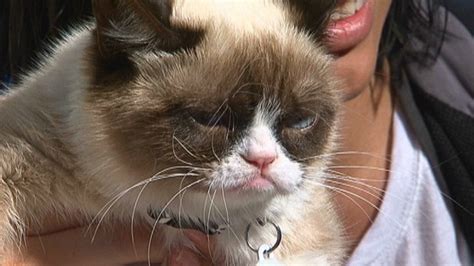 The unlikely star of SXSW: Grumpy Cat - CNN