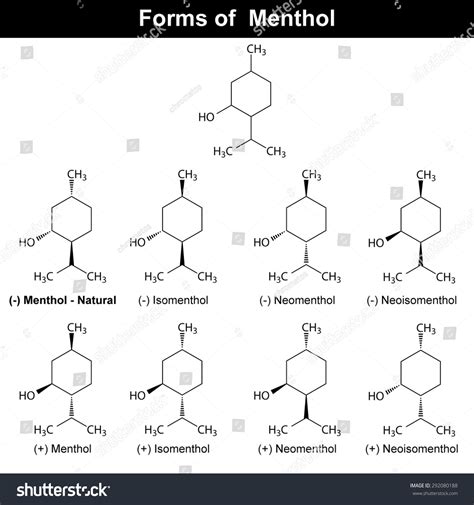 Stereoisomers Menthole Molecule Food Pharmaceutical Additive Stock ...