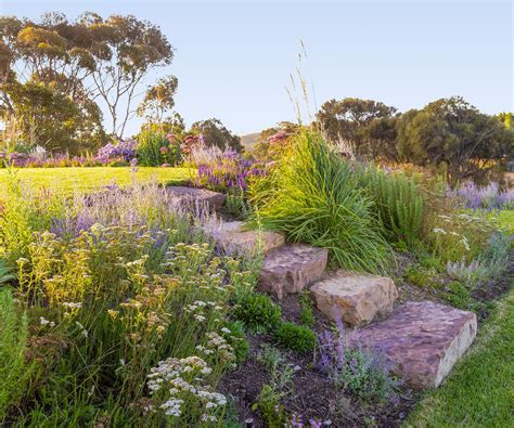 The Best Flowering Plants For Summer