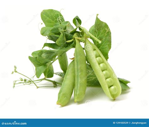 Green Peas In Pods With Leaves Stock Image Image Of Background