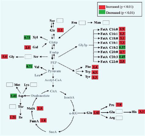 Levels Of Metabolites In The Main Metabolic Maps The Comparisons Of