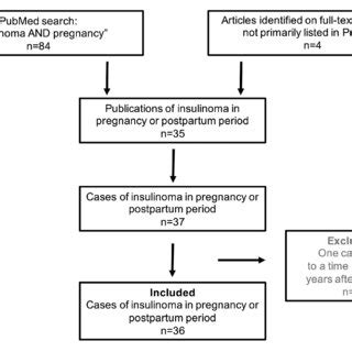 Schematic Display Differential Diagnosis Of Hypoglycemia In Pregnant