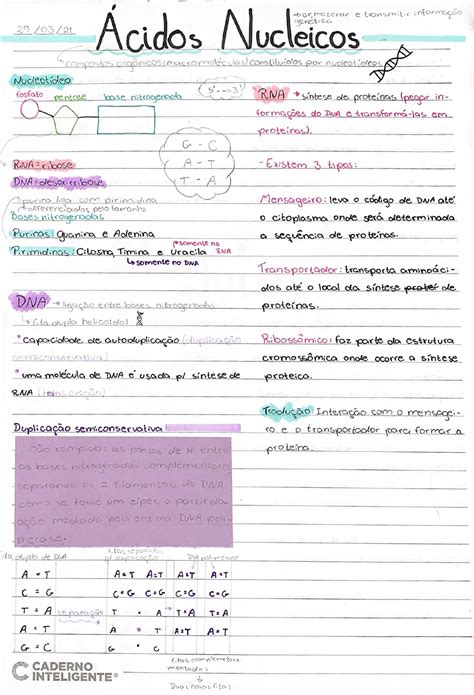 Resumo Ácidos Nucleicos Bioquimica Geral