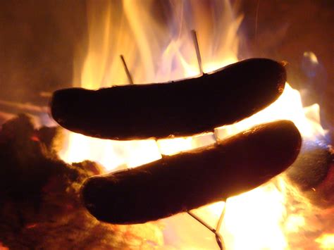 Free picture: roasting, hot, dog, meat, bratwurst