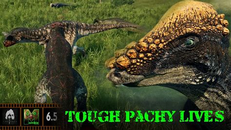 The Isle Evrima Tough Pachy Lives Update 65 Pachycephalosaurus Youtube