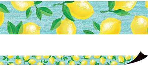 Amazon Teacher Created Resources Lemon Zest Magnetic Border