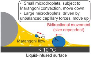 Marangoni Induced Reversal Of Meniscus Climbing Microdroplets Soft