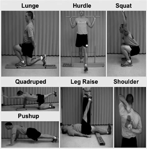 Fms Consists Of Seven Tests Deep Squat Squat Hurdle Step In Line