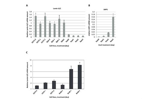 Effect Of Azacytidine And Trichostatin A Tsa Treatment On Lmna