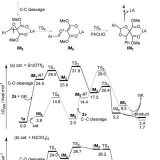 The Gibbs Free Energy Profiles Dg In Units Of Kcal Mol At