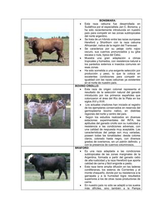 Razas Bovinas Productoras De Carne PDF Descarga Gratuita