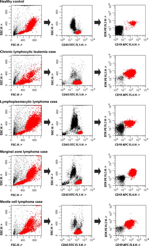 Example Of Flow Cytometry Gating Strategy Used For The Evaluation Of