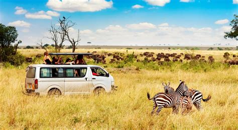 3 Days 2 Nights Masai Mara Joining Budget Camping Safari JungleRoam