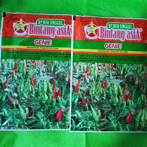 Jual Benih Cabe Rawit Hijau Varietas Genie Isi Gr Bibit Cabe Rawit