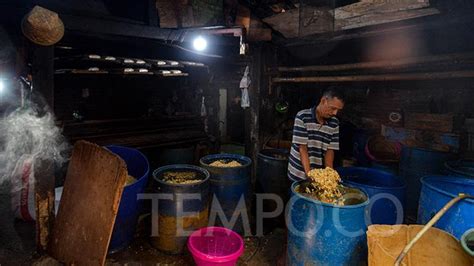 Badan Pangan Nasional Harga Biji Kedelai Impor Masih Terpantau Tinggi