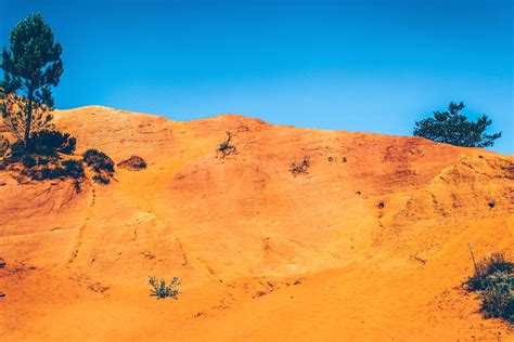 Free picture: sky, sun, tree, bushes, desert, dry, hill