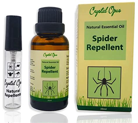 10 Best Spider Repellent February 2024