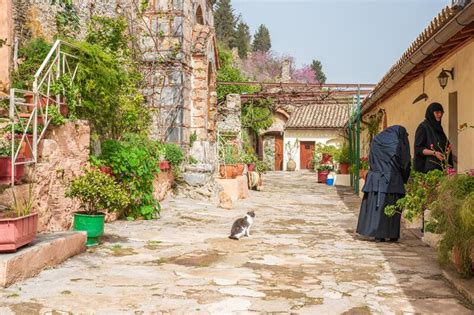 View From The Byzantine City Of Mystras Greece The City Of Mystras Is