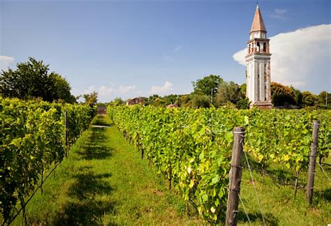 10 Best Wineries To Visit Near Venice Winetourism