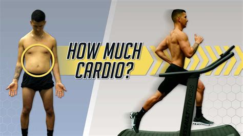 How Much Cardio Should You Do To Lose Belly Fat Step Plan