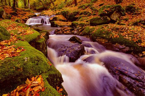 Wicklow Waterfalls — Shay Farrelly