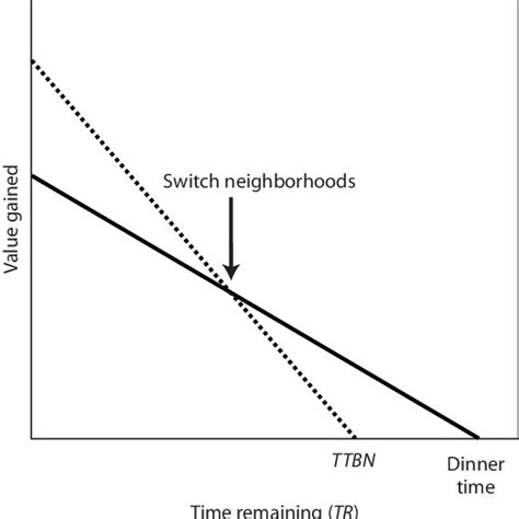 Pdf Modeling Optimal Foraging