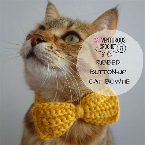 Ravelry: Sauron Ribbed Button-Up Cat Bow Tie pattern by Charlotte Gillbanks