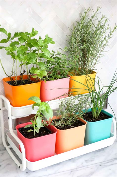 Make a Colorful Indoor Herb Garden - A Beautiful Mess