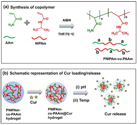 Polymers Free Full Text Thermo Sensitive Poly N