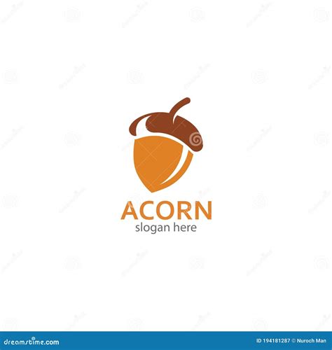 Acorn Logo Line Art Isolated Branch With Acorns Vector Illustration