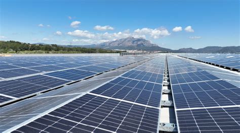 Mercadona Inaugura Su Mayor Planta Fotovoltaica Y Alcanza Los Mw De