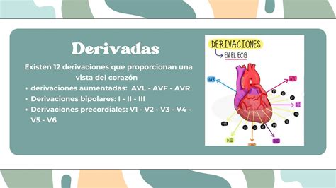 ELECTROCARDIOGRAMA BASICO PARA ESTUDIANTES DE ENFERMERIA PPT