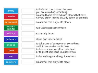 Savannas plants - Teaching resources