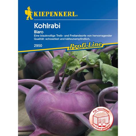 Kiepenkerl Profi Line Kohlrabi Blaro Kaufen Bei OBI