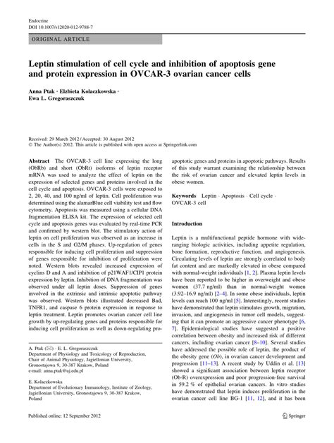 Pdf Leptin Stimulation Of Cell Cycle And Inhibition Of Apoptosis Gene