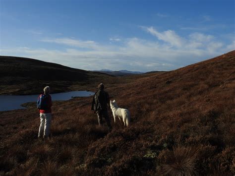 Loch Laoigh Westward Carn Chuinneag Sandy Sutherland Flickr