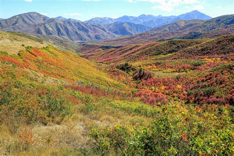 Provo Canyon Autumn View Photograph By Donna Kennedy Fine Art America