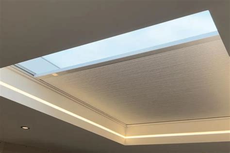 Unbelievable Skylight Blinds For Storables