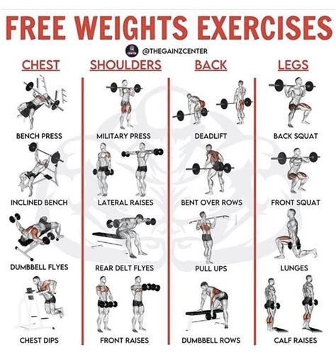 Full Body Free Weights Exercises