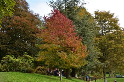 22nd Oct 2019 Nt Stourhead 344 Autumn Colours Stourhea Flickr