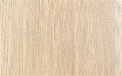 Download wallpapers Eucalyptus texture, light wood texture, light ...